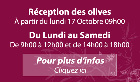 Lou Mouli d'Oli - Réception des Olives - Dates 2022