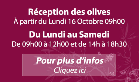Lou Mouli d'Oli - Réception des Olives - Dates 2023